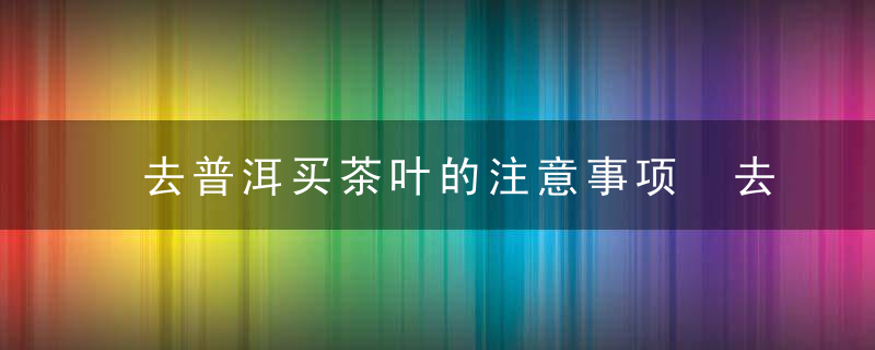 去普洱买茶叶的注意事项 去普洱买茶叶的注意什么